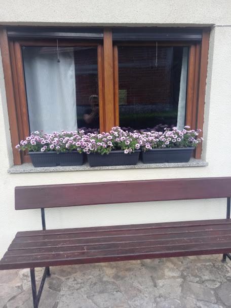 Guesthouse Marton Jezerce Exterior foto