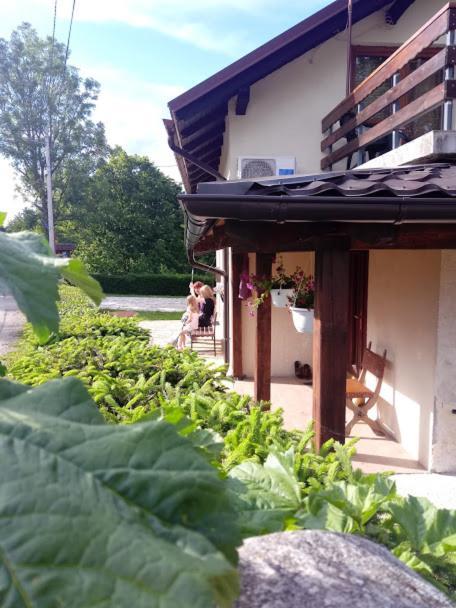 Guesthouse Marton Jezerce Exterior foto