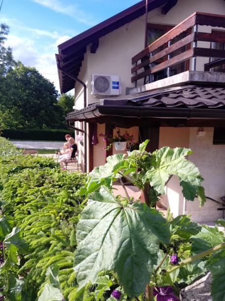 Guesthouse Marton Jezerce Exterior foto